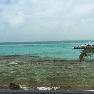 Meet your Posher, Gabriela